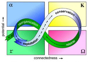 The Adaptive Cycle