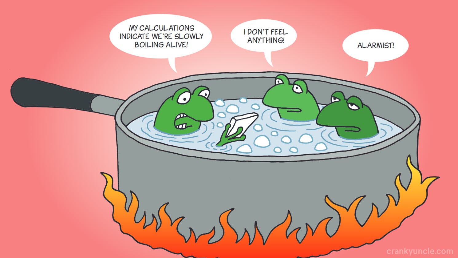 Boiling frogs and why we need long-term vision